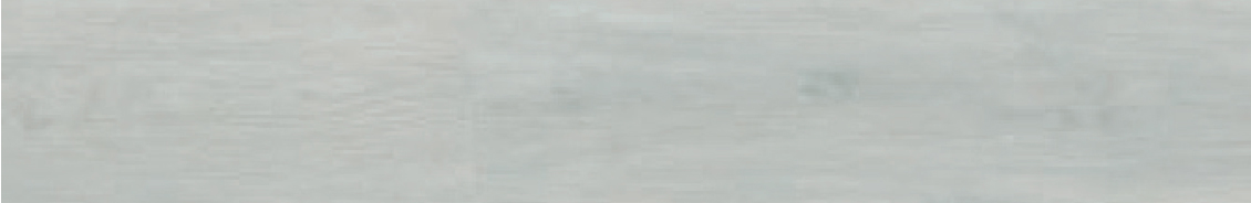 IVALO CANE – IVA-2697-IB