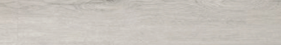 MANTARO FOSSIL – MAN-5611-IB