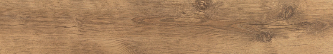 ROBLE SUTTER – D 742 WG