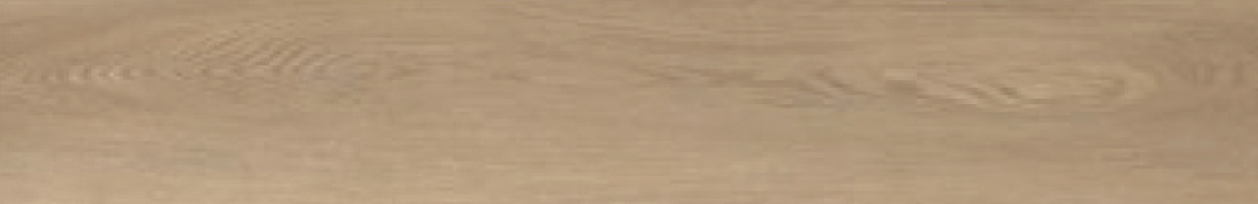 TARN CIDER – TAR-840-IB